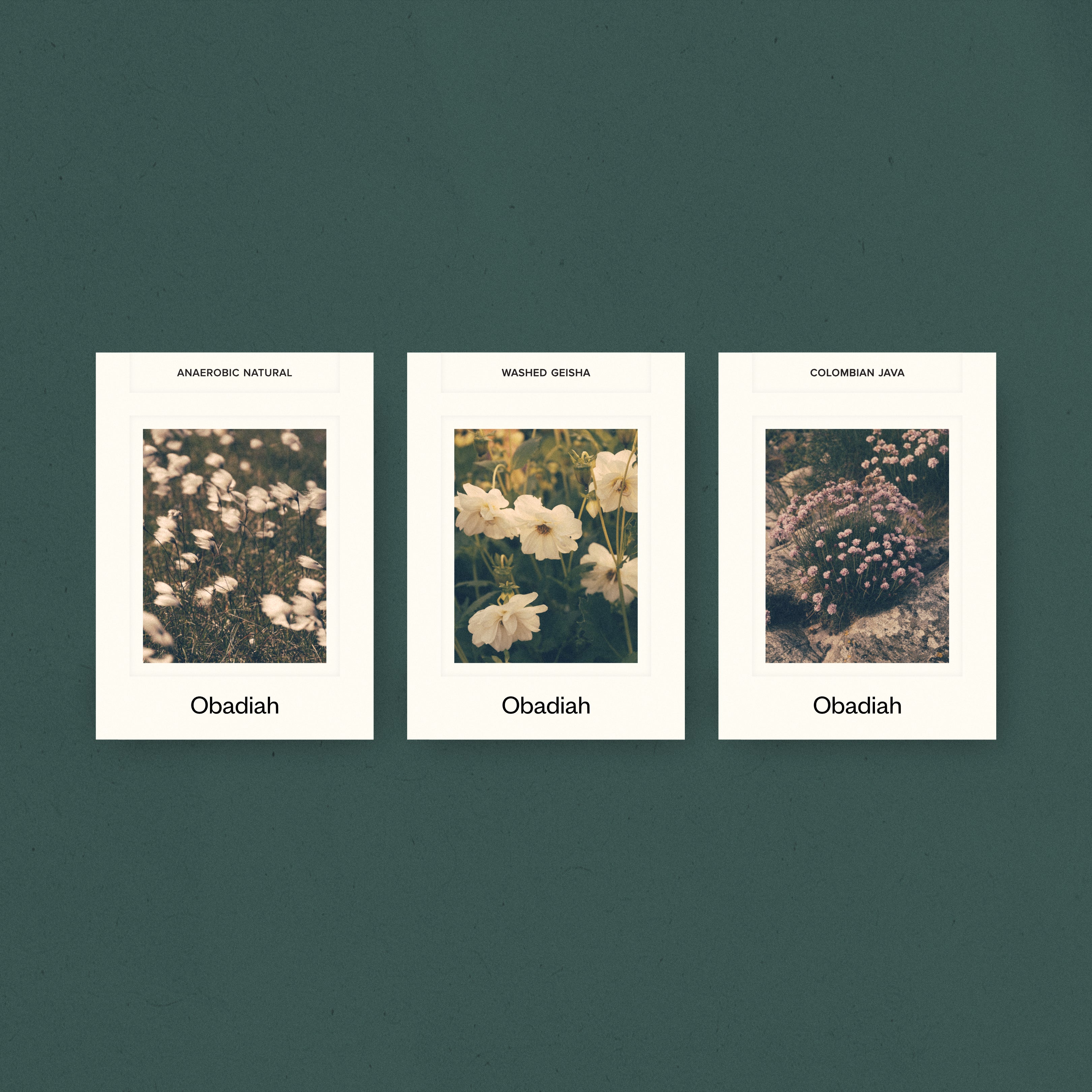 Obadiah - Flòr — Indonesia by Obadiah Coffee