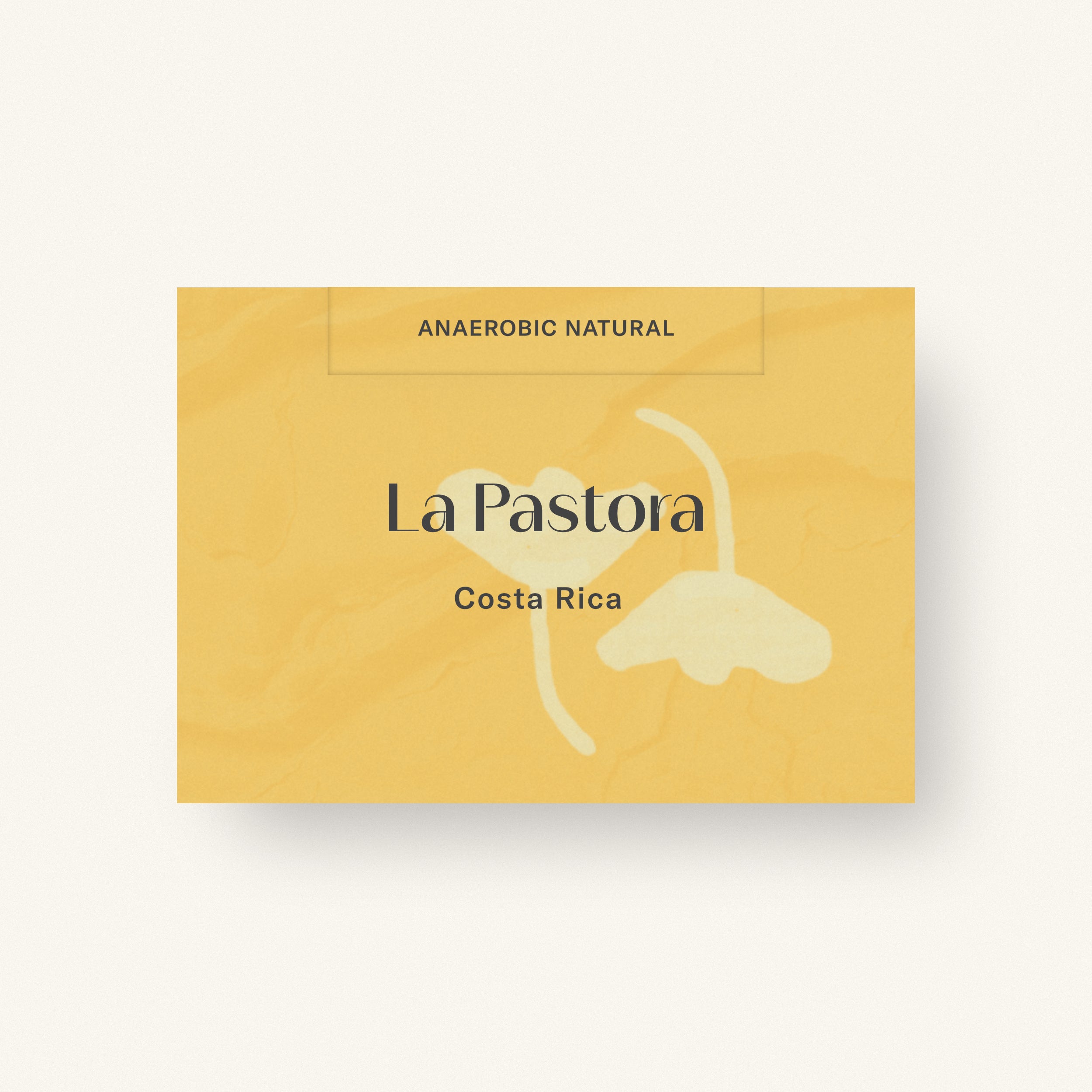 La Pastora — Costa Rica by Obadiah Coffee