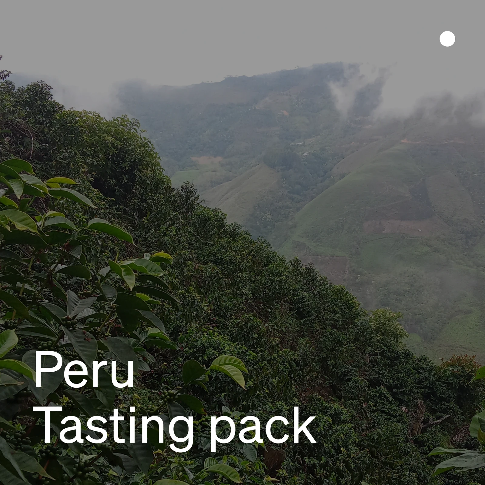 Peru Tasting Pack (Organic) — Peru by Ozone Coffee UK