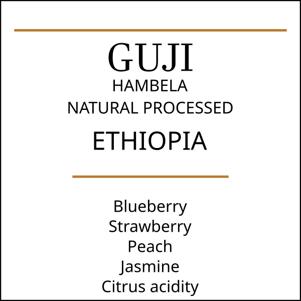 Ethiopia Guji Hambela | Natural Process