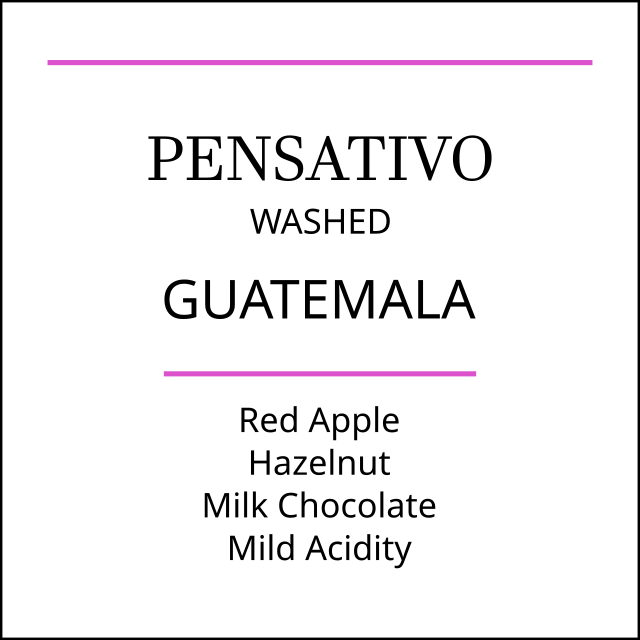 Guatemala El Pensativo Medium Roast by Pebble & Pine