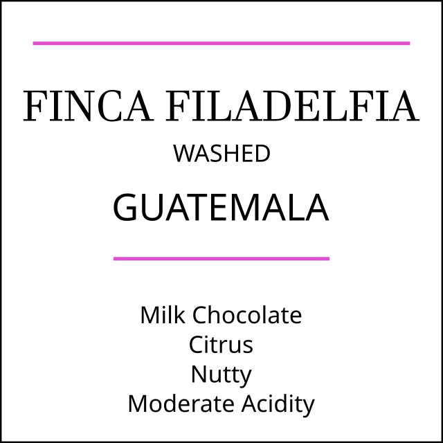 Guatemala Finca Filadelfia Medium Roast by Pebble & Pine