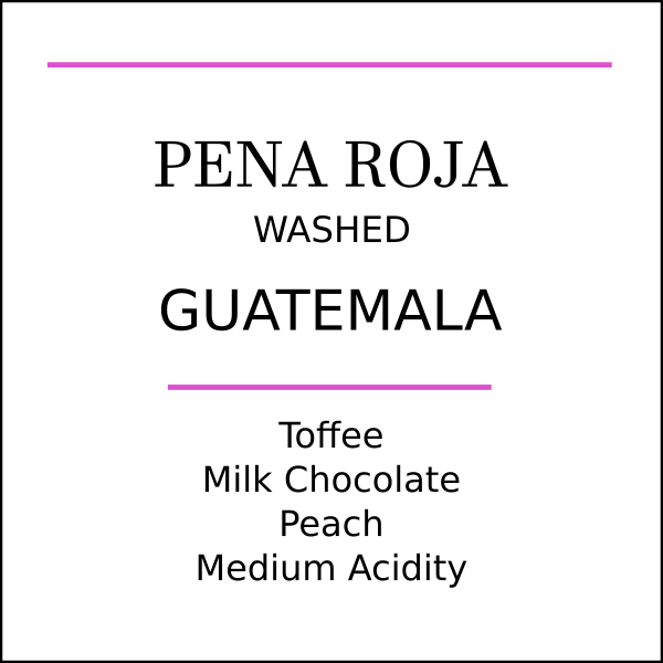 Guatemala Pena Roja Medium Roast by Pebble & Pine