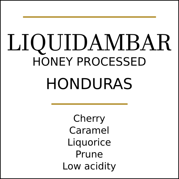 Honduras Finca Liquidambar Medium Roast by Pebble & Pine