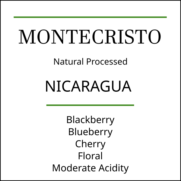Nicaragua Montecristo Light/Medium Roast by Pebble & Pine