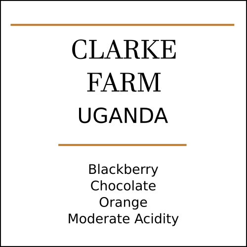 Uganda Clarke Farm Medium Roast by Pebble & Pine