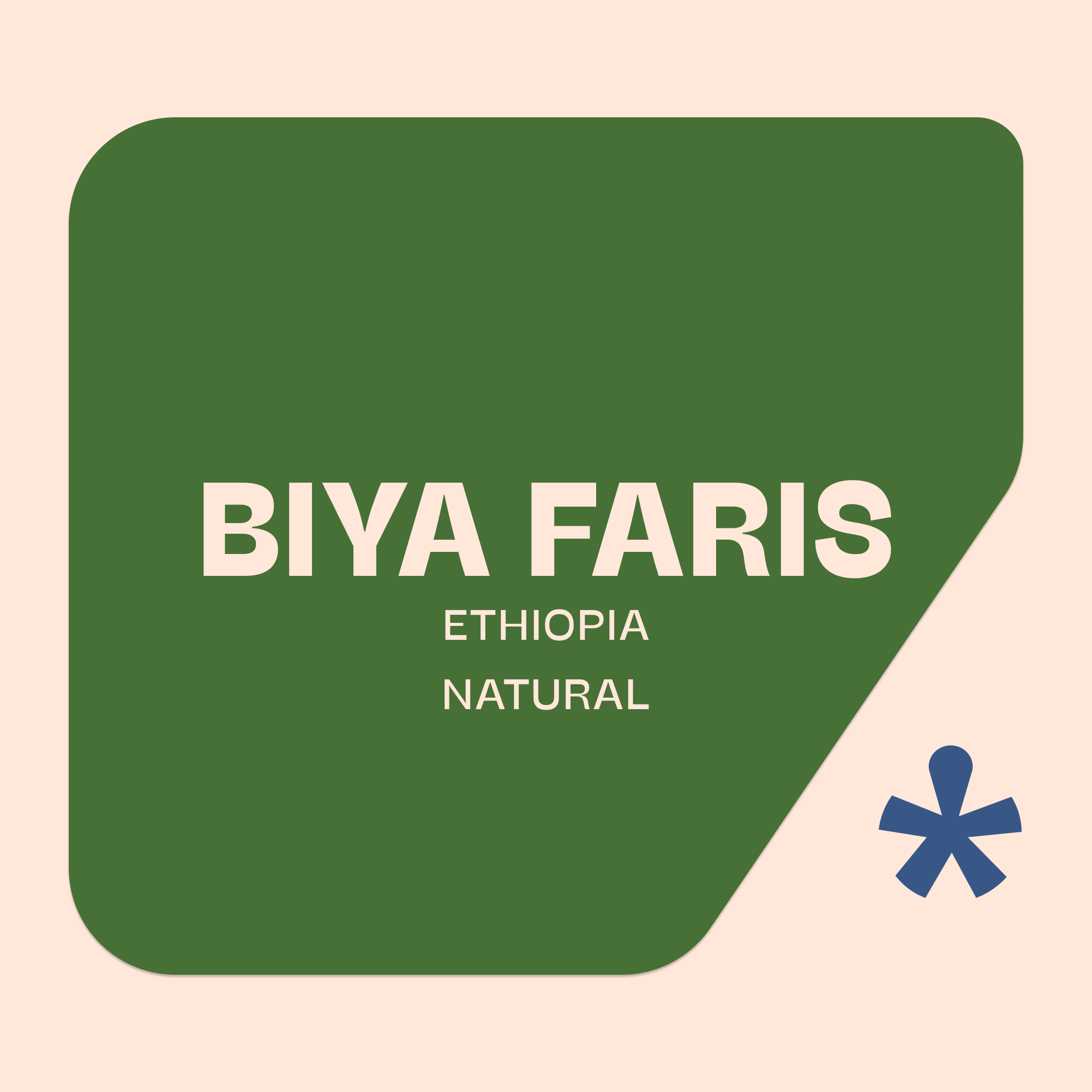 Biya Faris — Ethiopia by Pink Lane Coffee