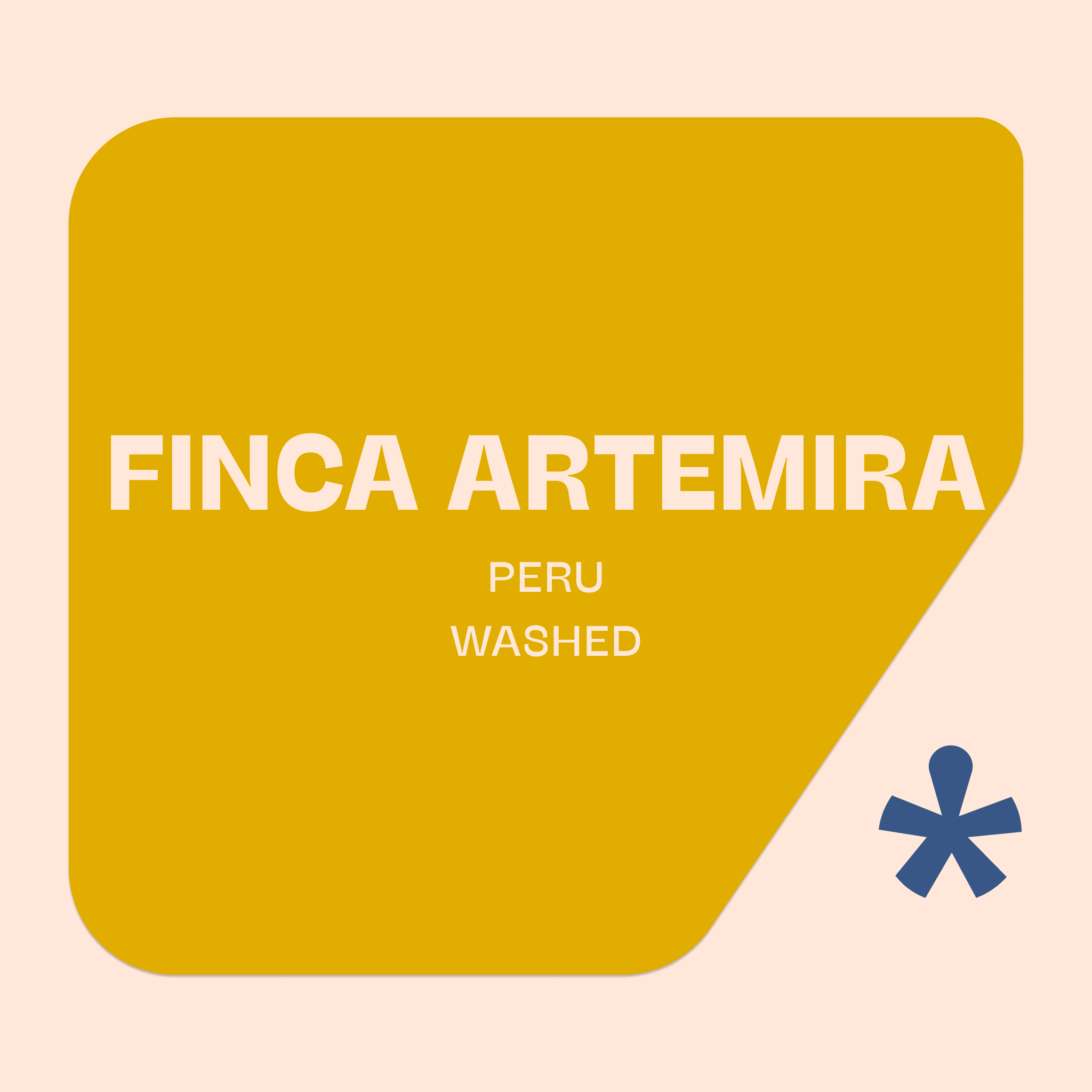 Finca Artemira — Peru by Pink Lane Coffee