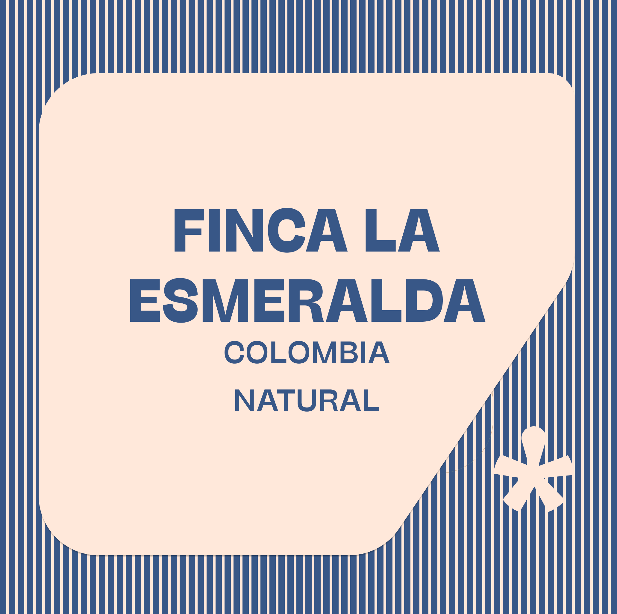 Finca La Esmerelda — Colombia by Pink Lane Coffee