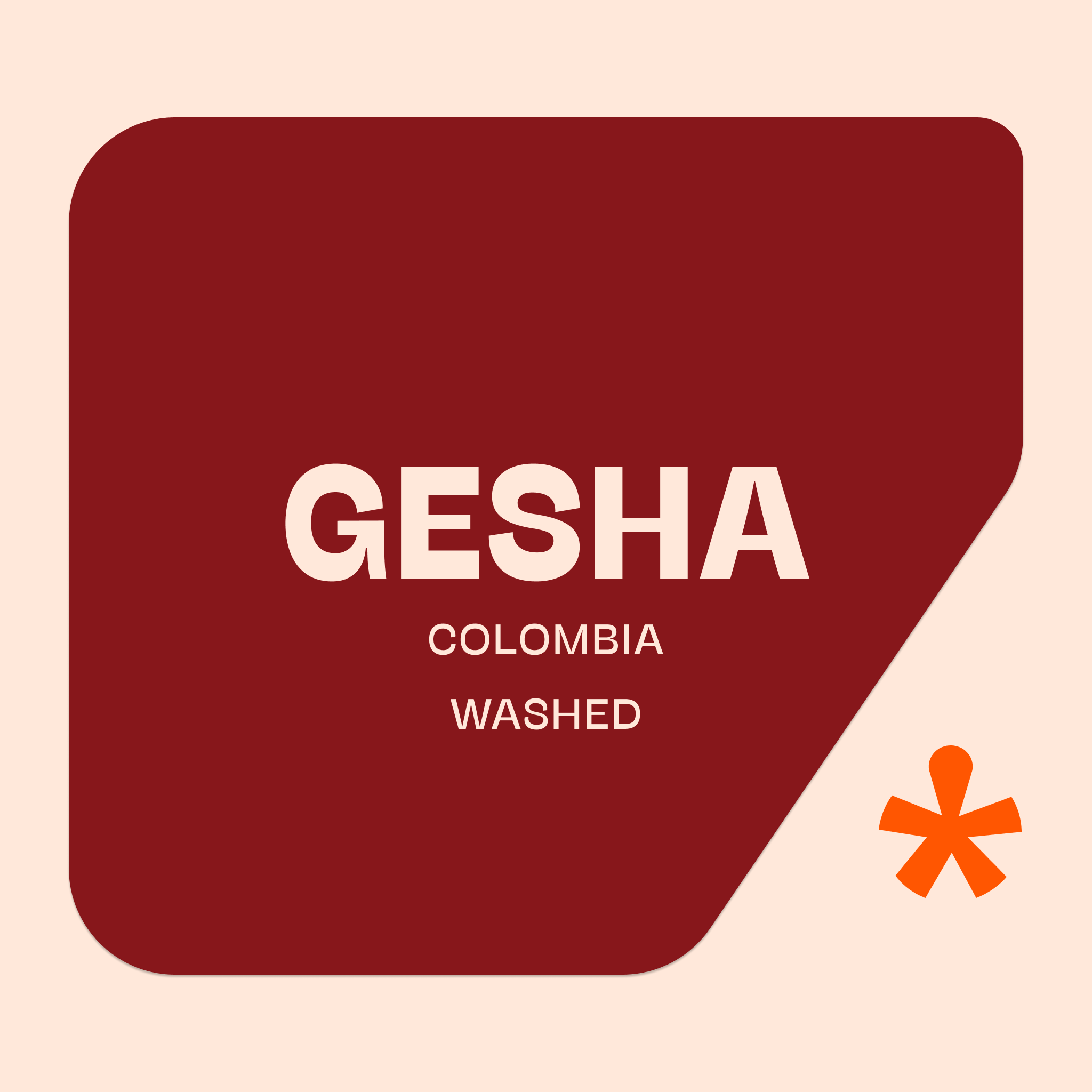 Wilson Alba - Gesha — Colombia by Pink Lane Coffee