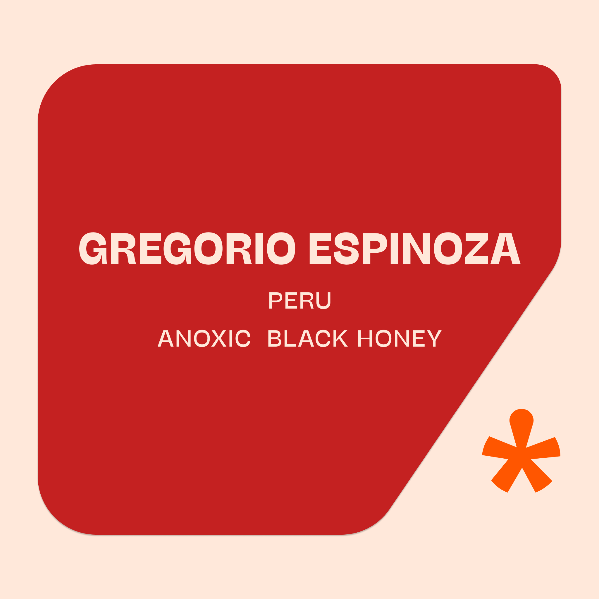 Gregorio Espinoza — Peru by Pink Lane Coffee