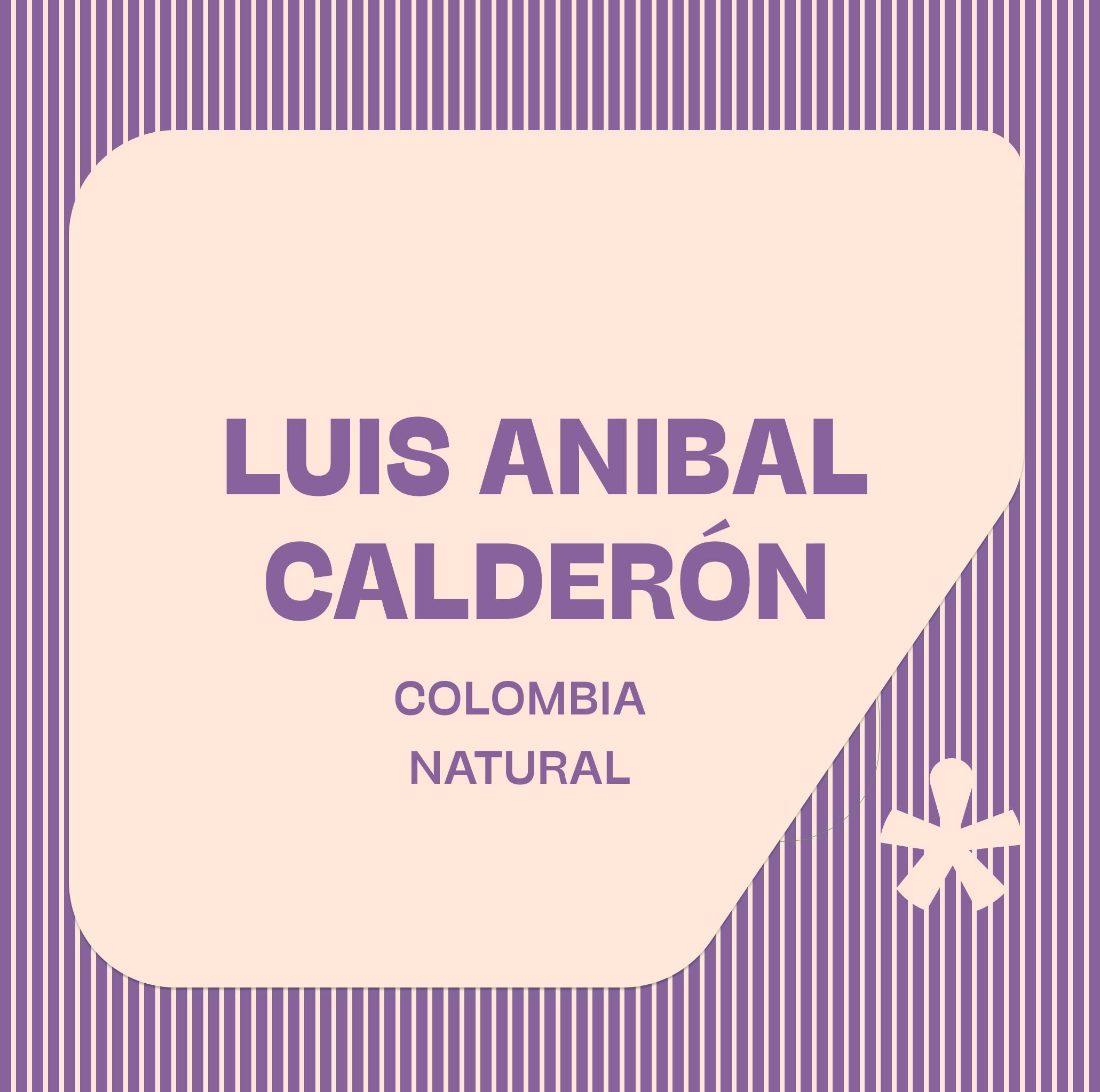 Colombia, Luis Anibal Calderon by Pink Lane Coffee