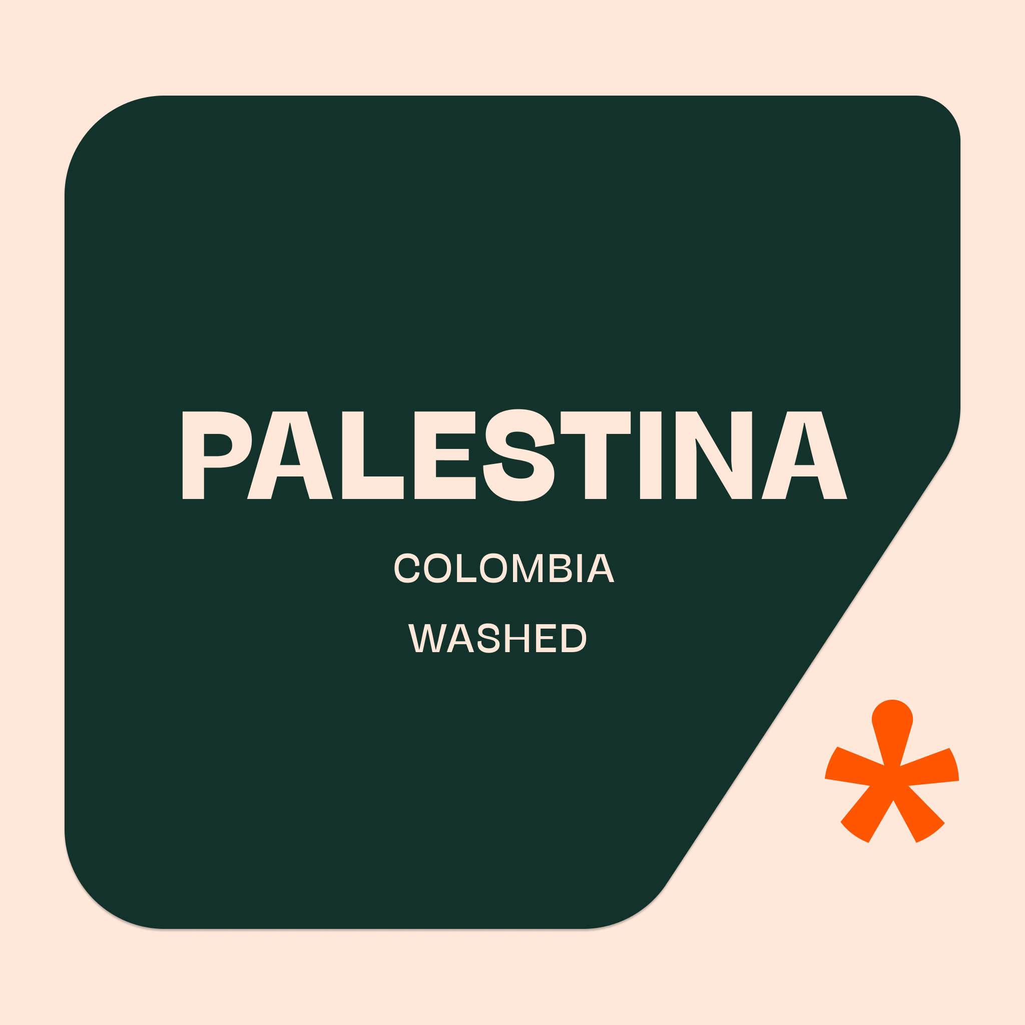 Colombia, Palestina by Pink Lane Coffee