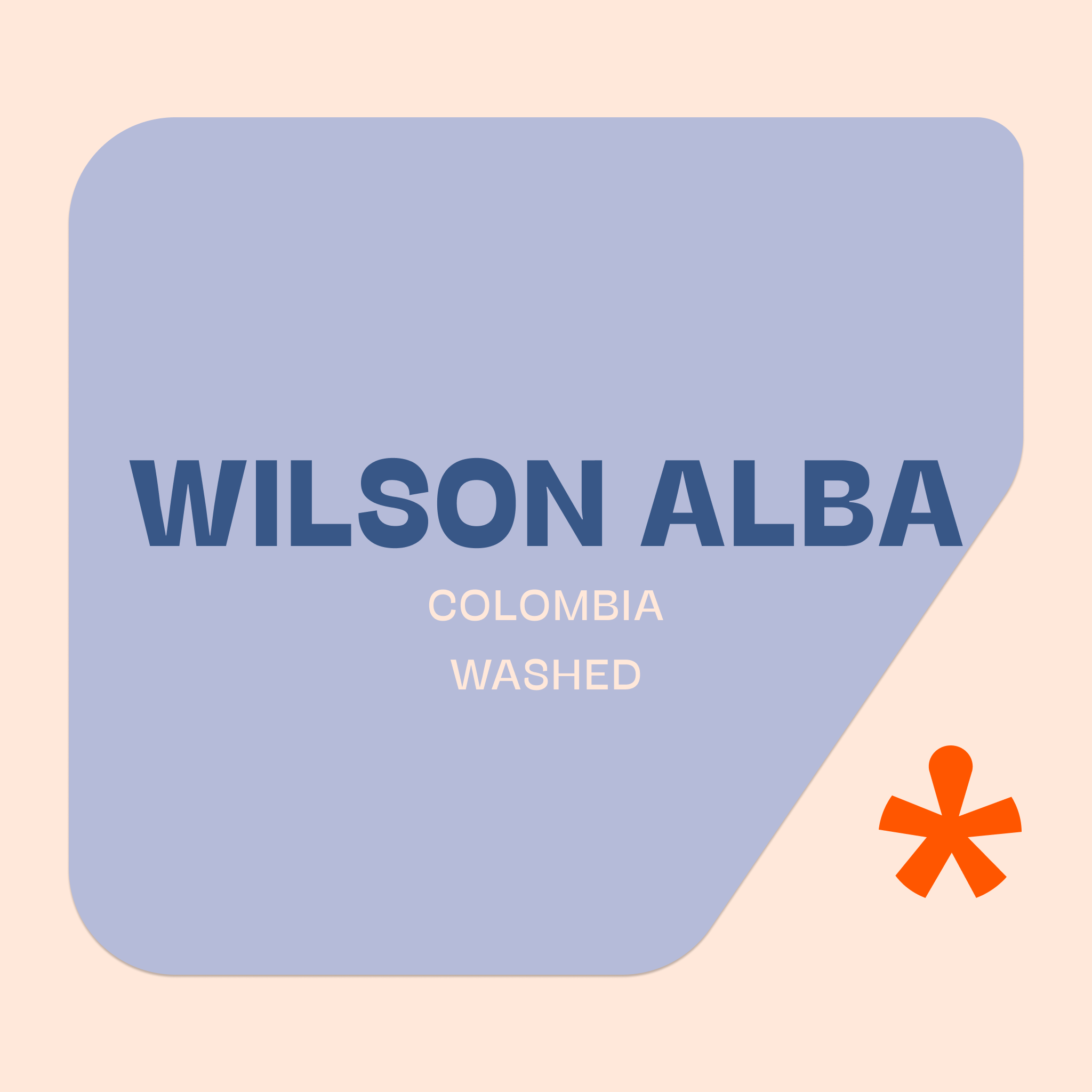 Wilson Alba — Ethiopia by Pink Lane Coffee