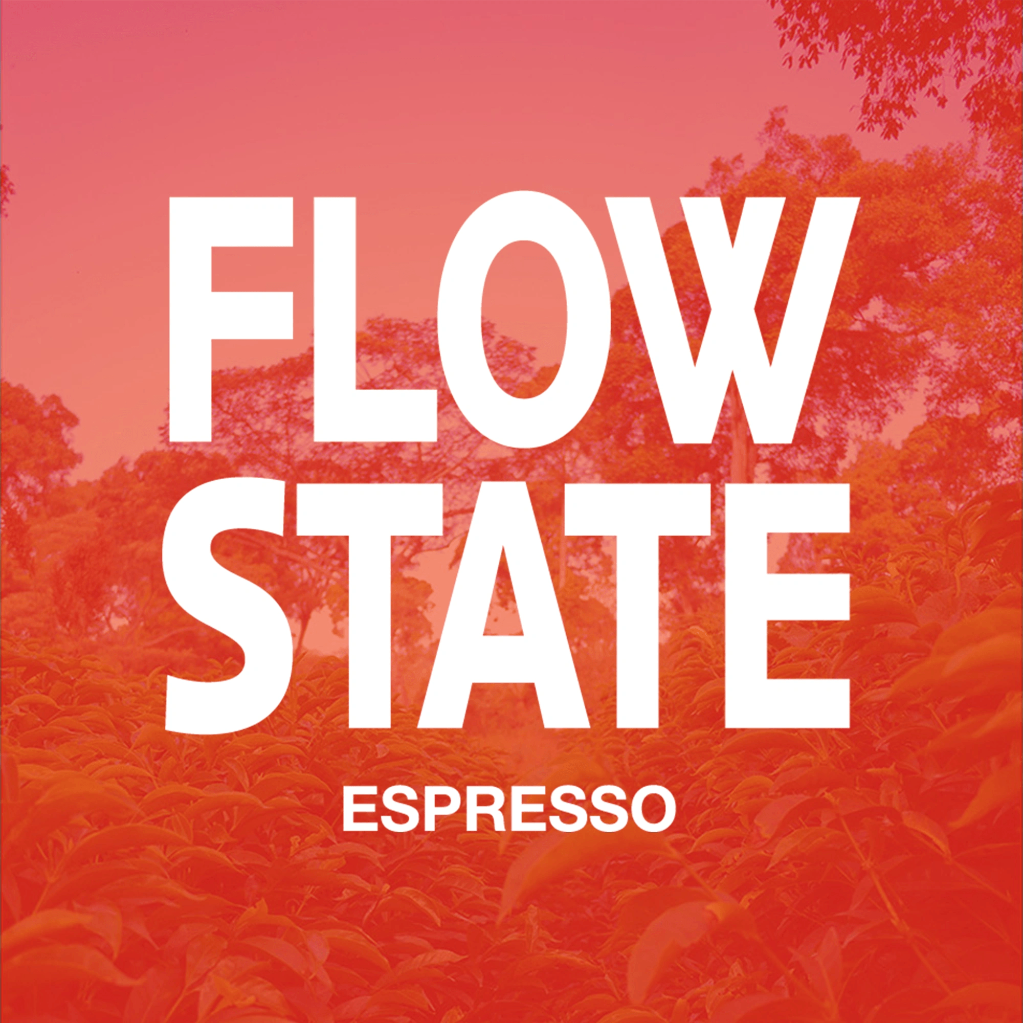 FLOW STATE Espresso — Ethiopia by PLOT Roasting