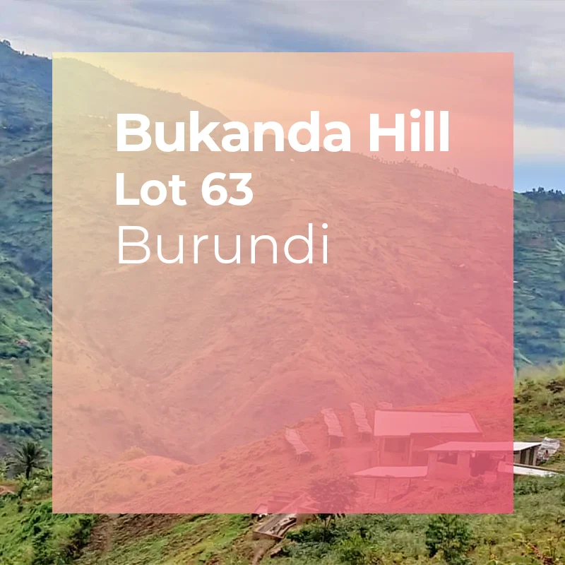 BUKANDA HILL, Lot 63 - Fully Washed by PLOT Roasting