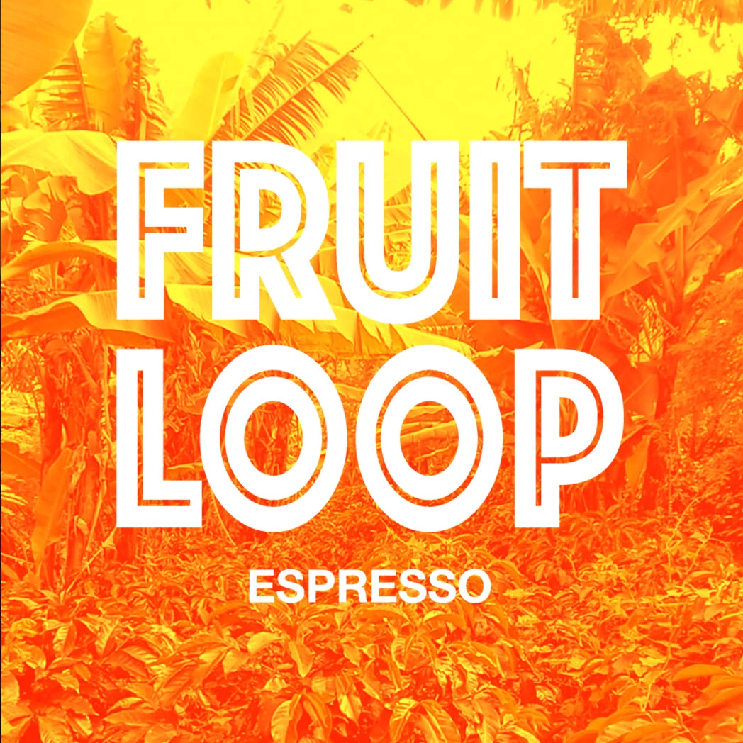 FRUIT LOOP Espresso by PLOT Roasting
