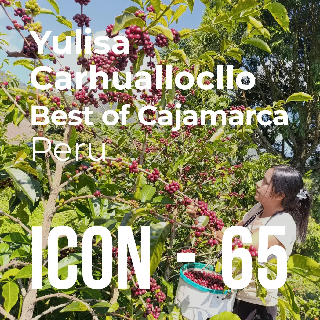 ICON 65 - Yulisa Carhuallocllo, Best of Cajamarca #1 by…