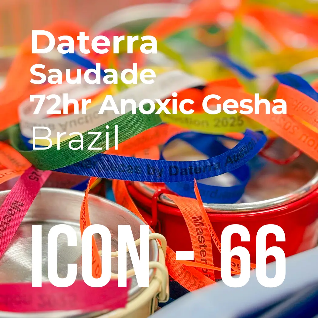 ICON 66 - Daterra Masterpiece, 72hr Anoxic Gesha by PLOT…