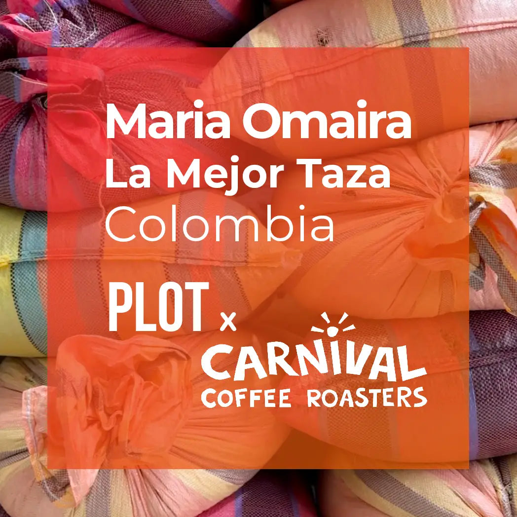 MARIA OMAIRA, Washed Gesha — Colombia by PLOT Roasting