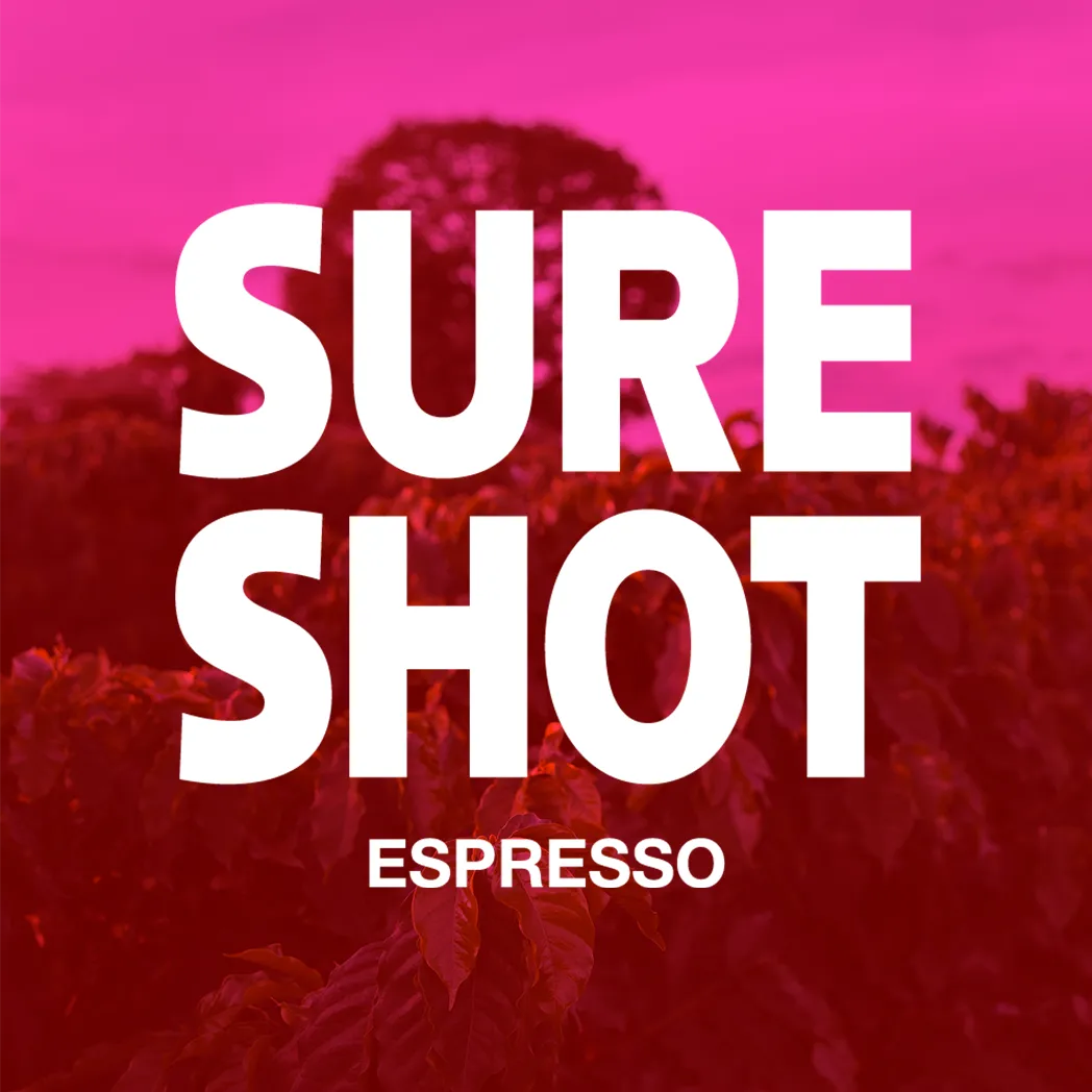 SURE SHOT Espresso — Brazil by PLOT Roasting