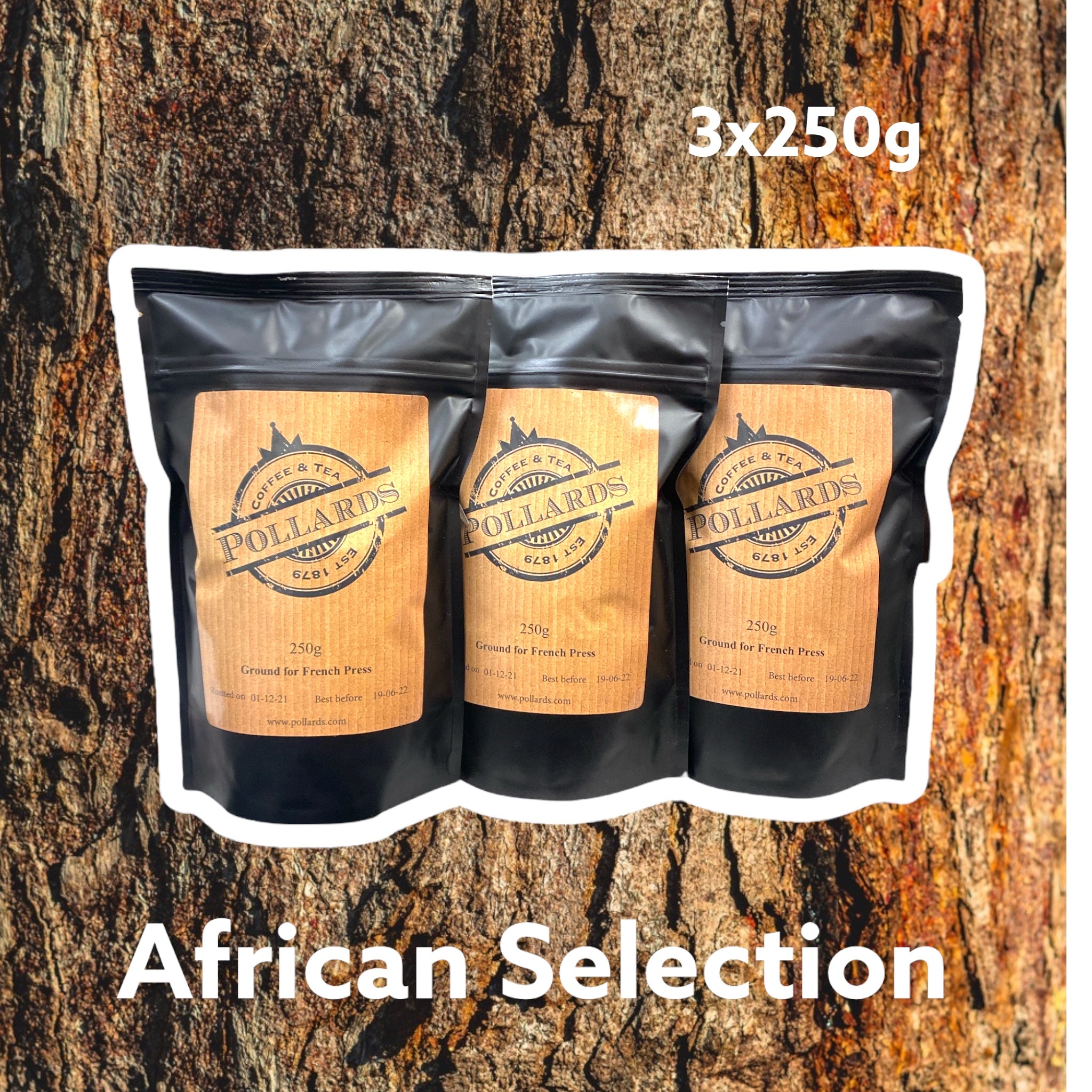 African Selection — Ethiopia by Pollards Coffee
