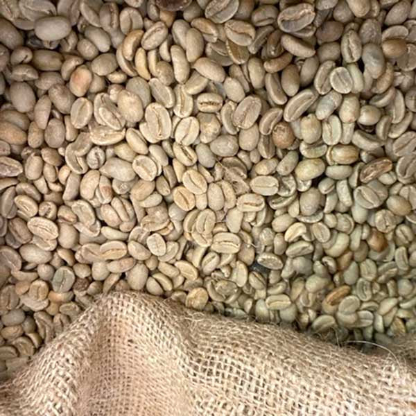 Green Papua New Guinea Y Grade by Pollards Coffee