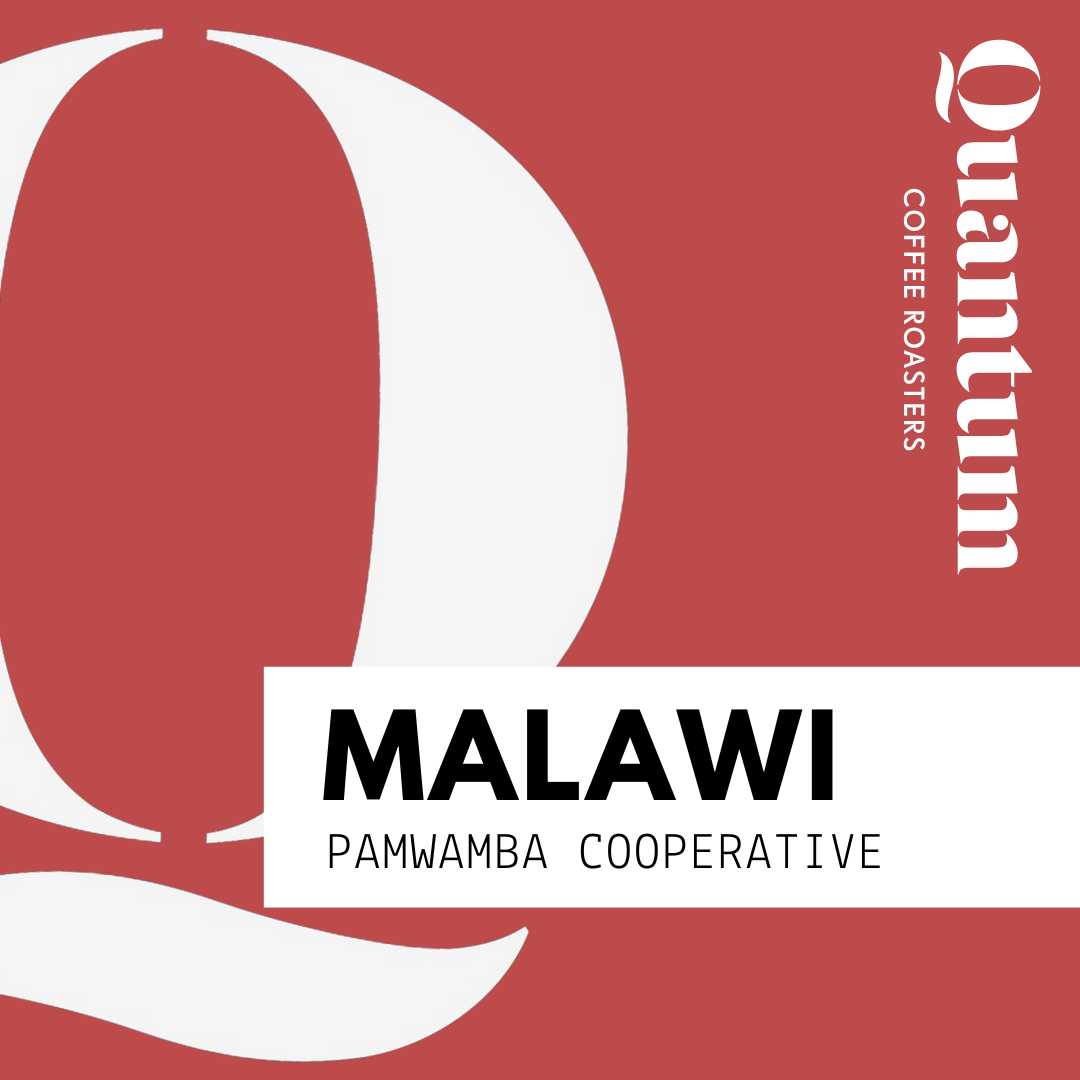 MALAWI, Pamwamba Cooperative, AA Plus by Quantum Coffee…