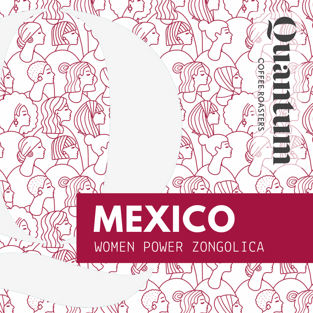 MEXICO 'WOMAN POWER ZONGOLICA'