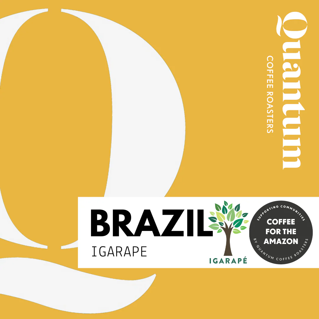 BRAZIL - IGARAPE - AMAZON RAINFOREST by Quantum Coffee…
