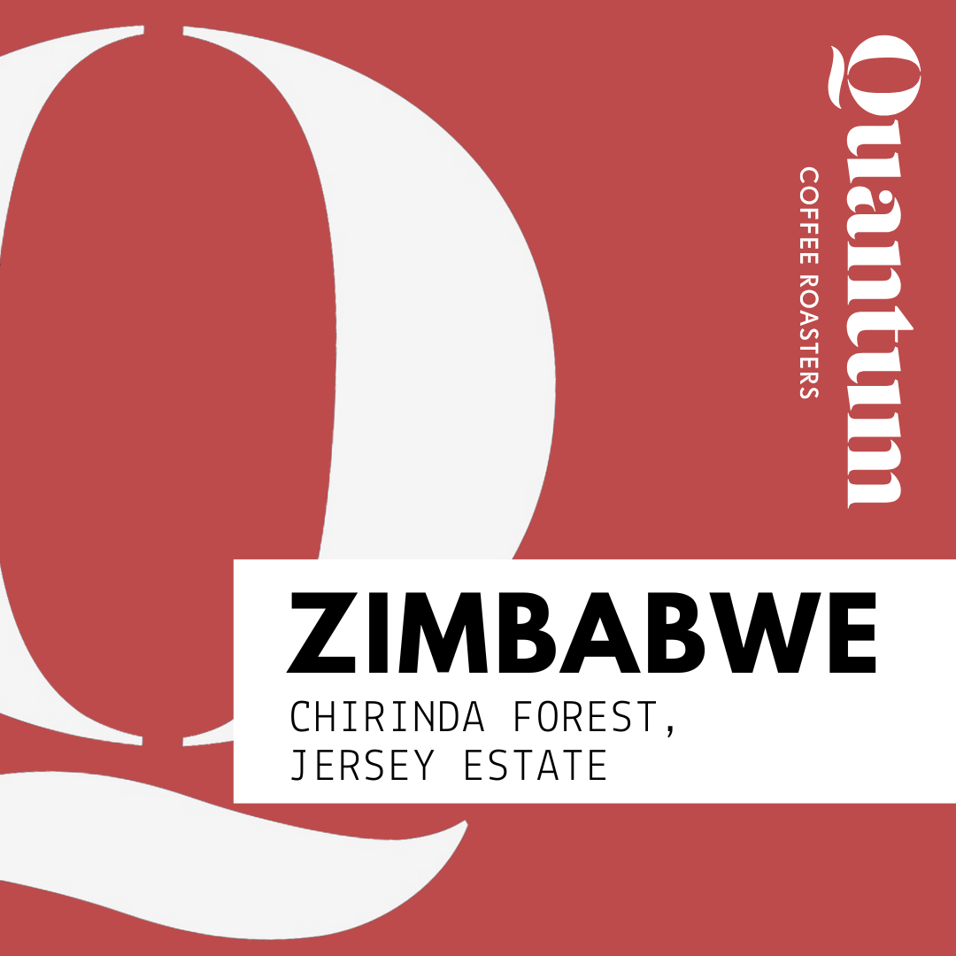 ZIMBABWE, Chirinda Forest, Jersey Estate by Quantum…