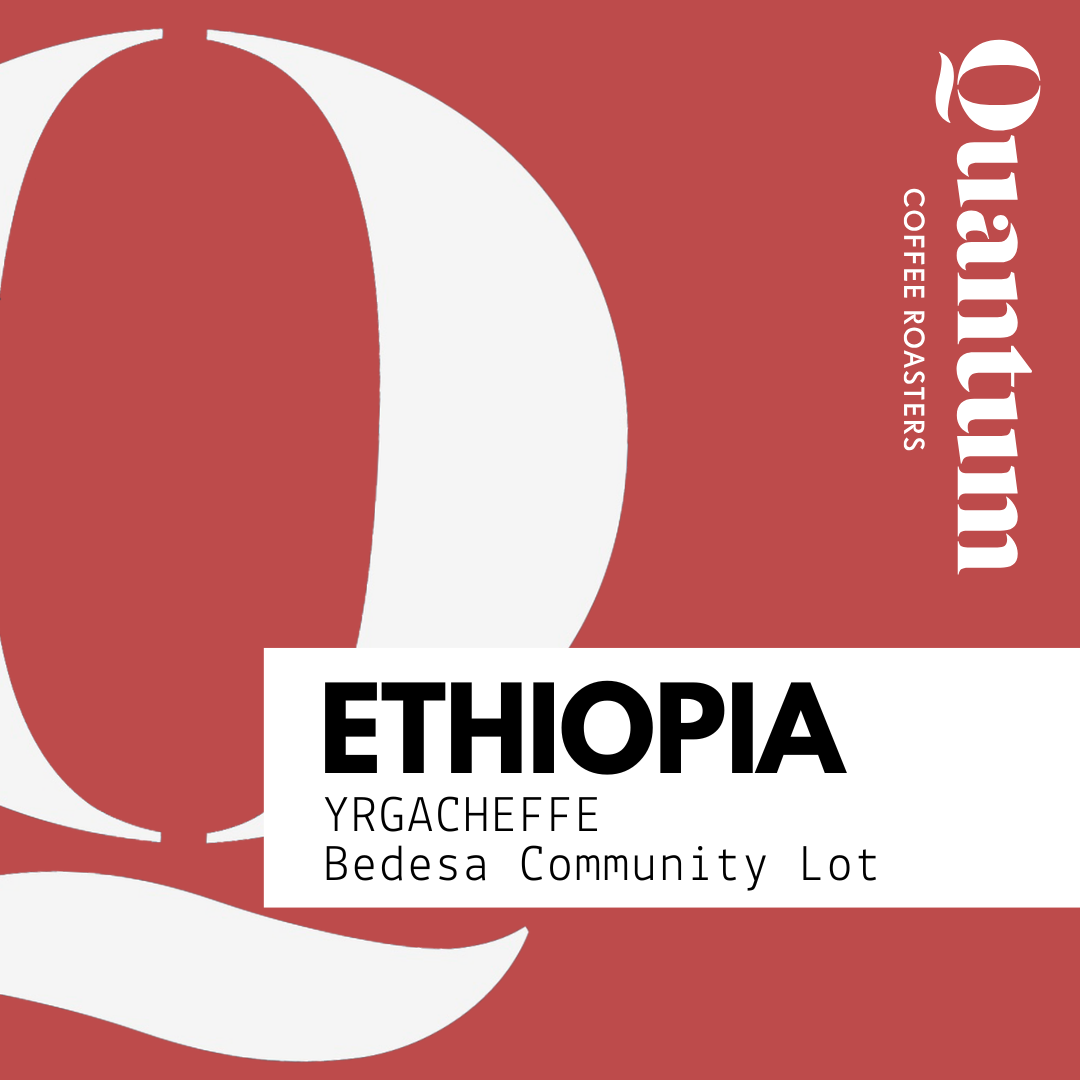 Ethiopia - Yirgacheffe, Bedesa Community Lot