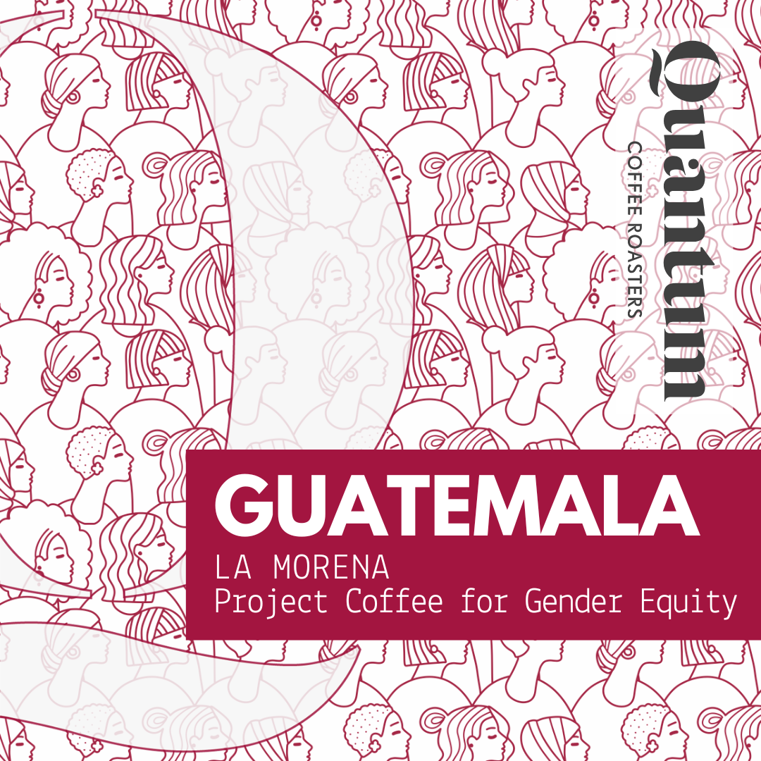 Guatemala - La Morena - Project Coffee for Gender Equity…