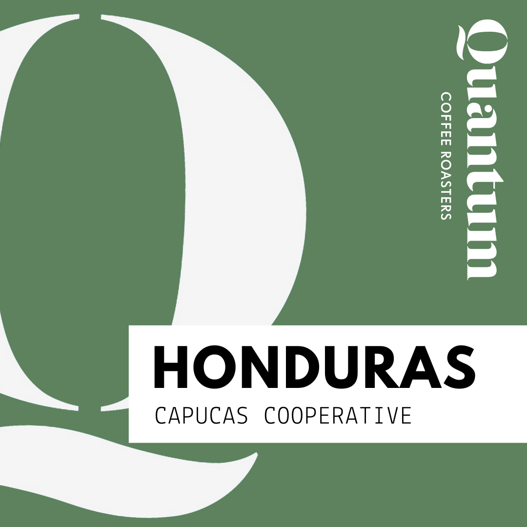 HONDURAS, Capucas Cooperative (COCAFCAL) by Quantum…