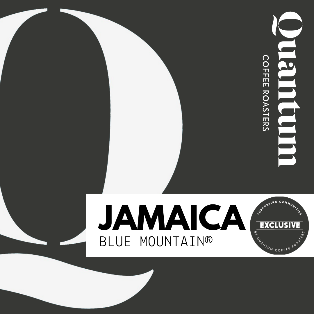 Jamaica Blue Mountain®, Blue Baron Estate by Quantum…