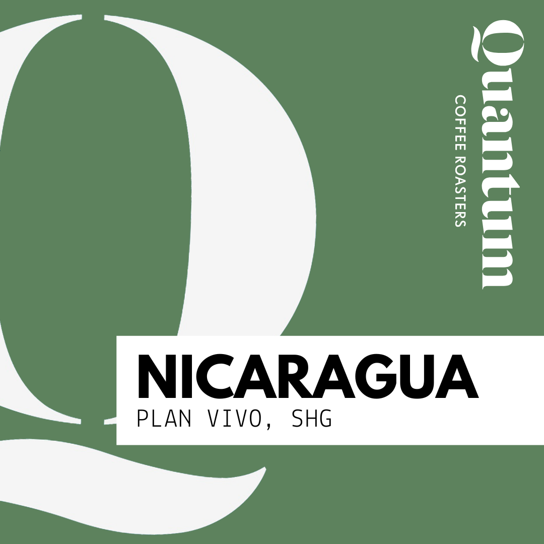 Nicaragua - Plan Vivo - SHG (Strictly High Grown) EP
