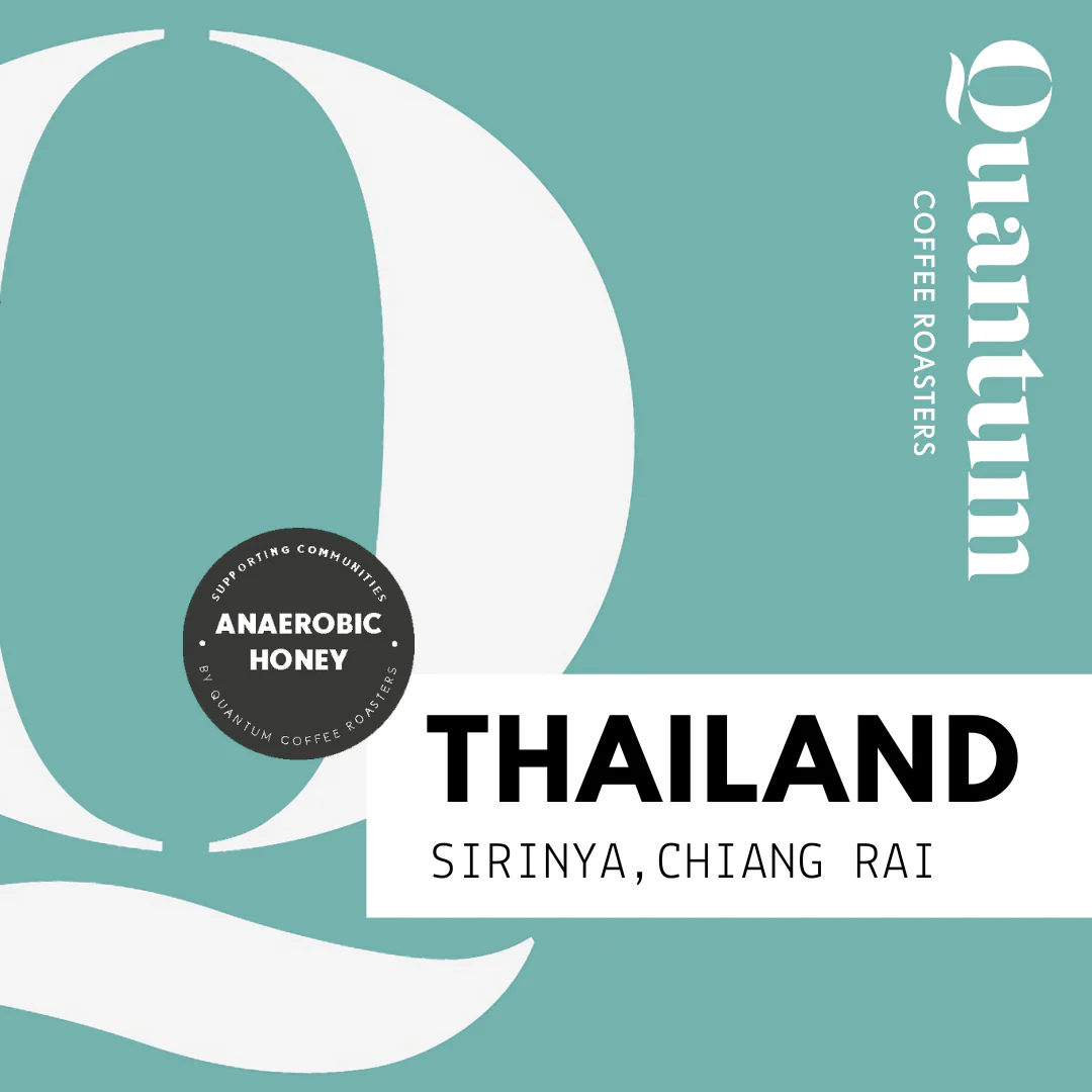 THAILAND, Chiang Rai - Anaerobic honey by Quantum Coffee…