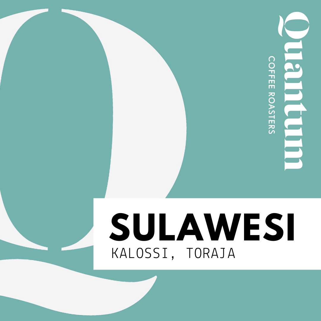 SULAWESI (Indonesia) - Toraja, Kalossi by Quantum Coffee…