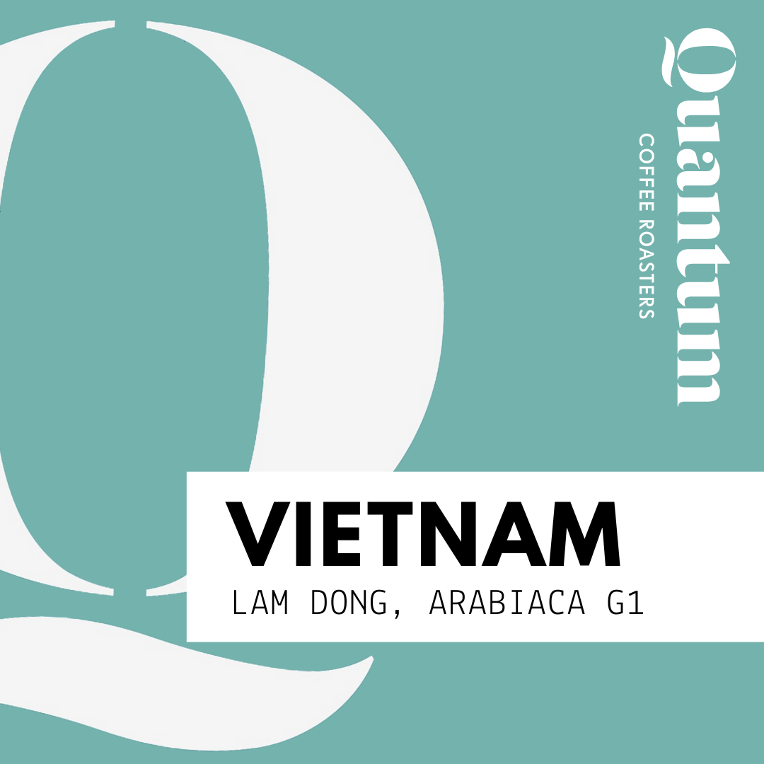 VIETNAM, Lam Dong, Arabica G1