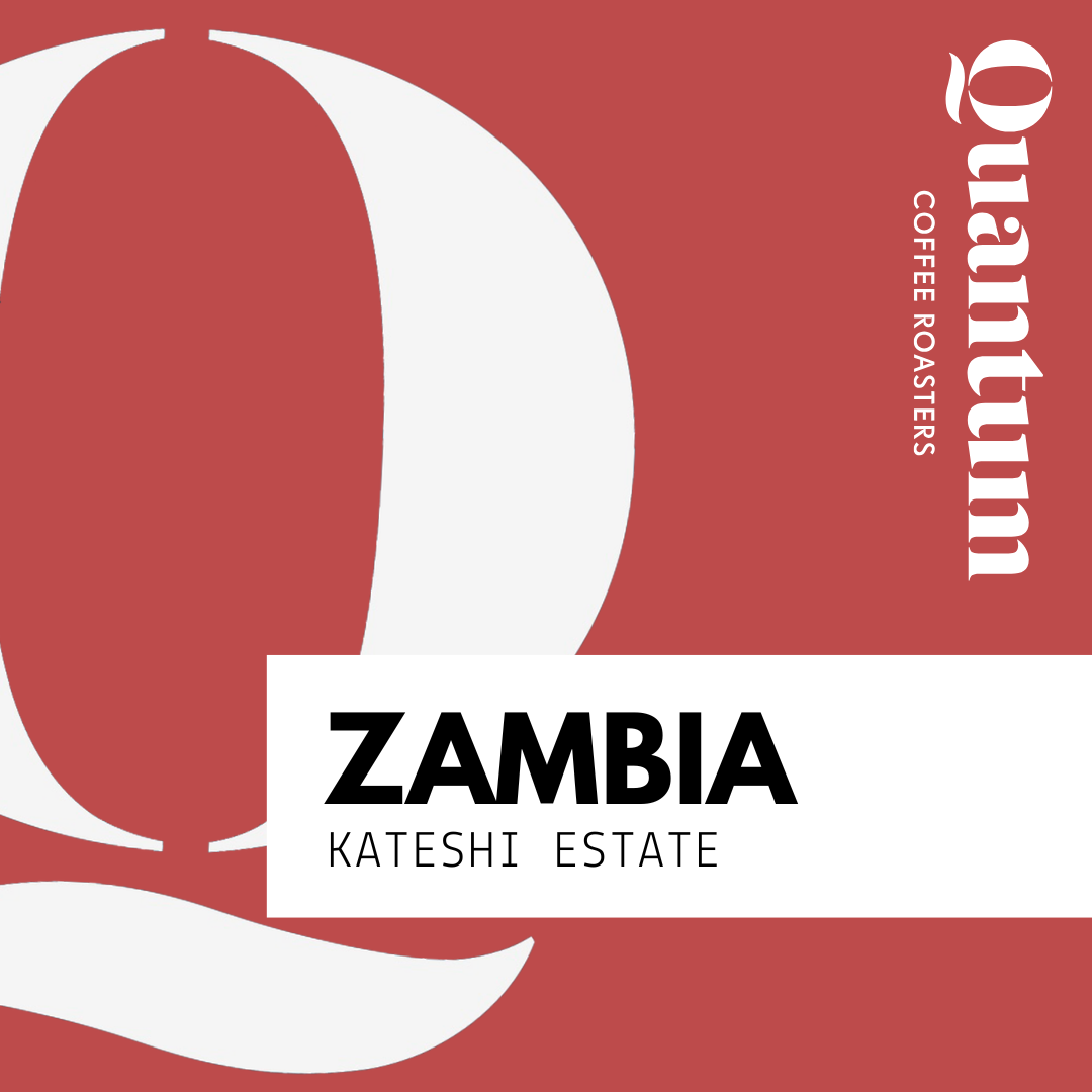 ZAMBIA - Kateshi Estate by Quantum Coffee Roasters