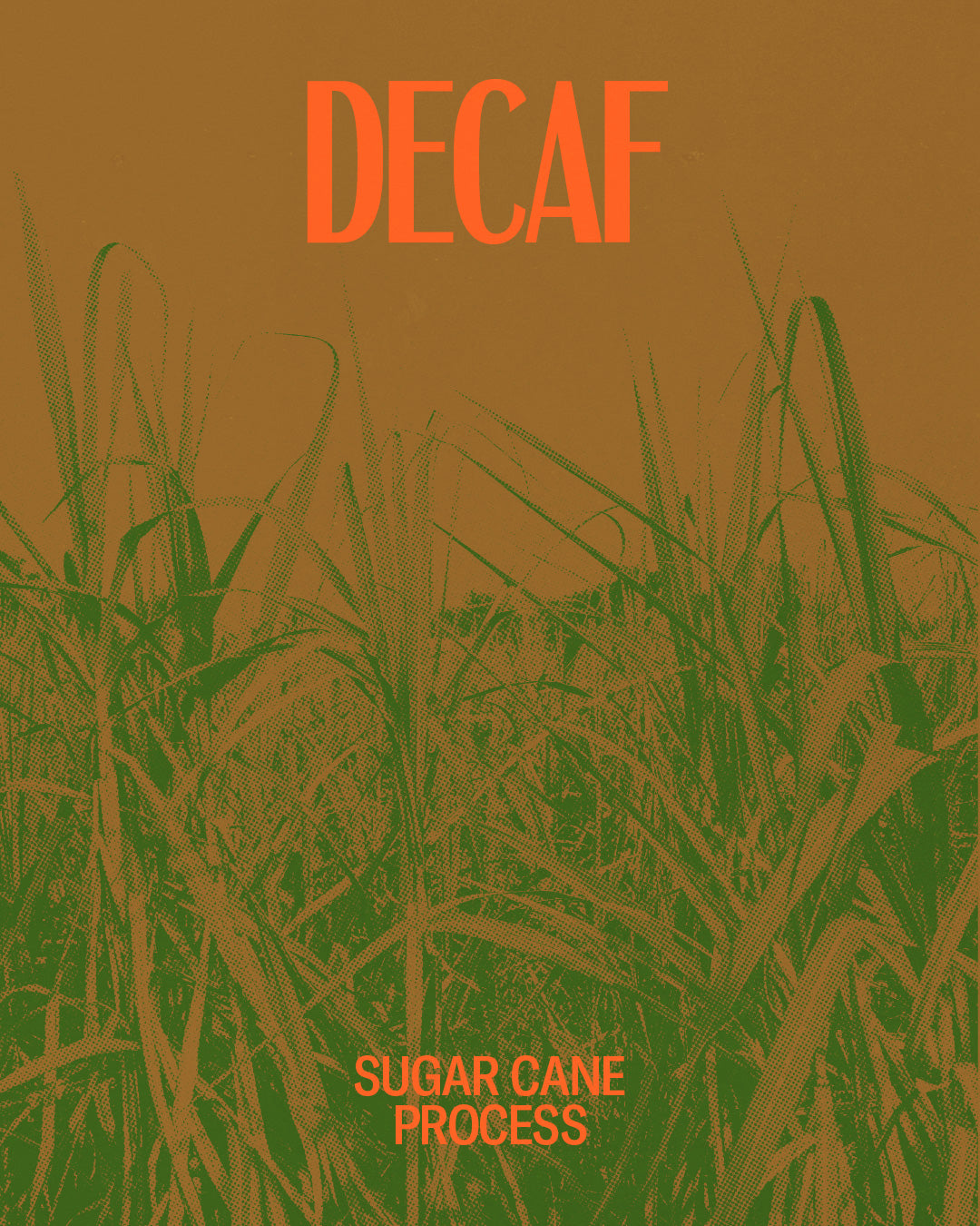 Decaf by Red Bank Coffee Roasters
