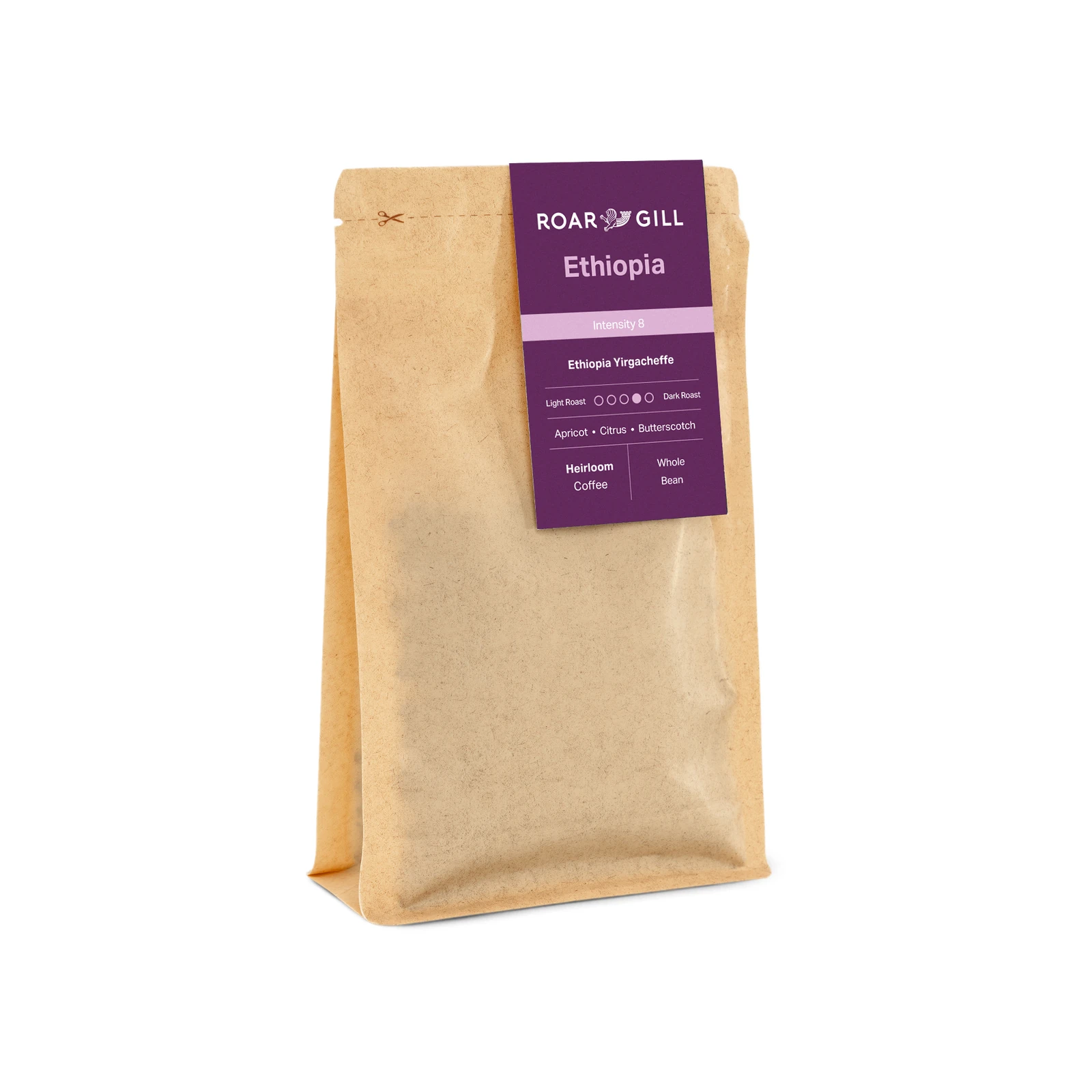 Ethiopia 250g by Roar Gill