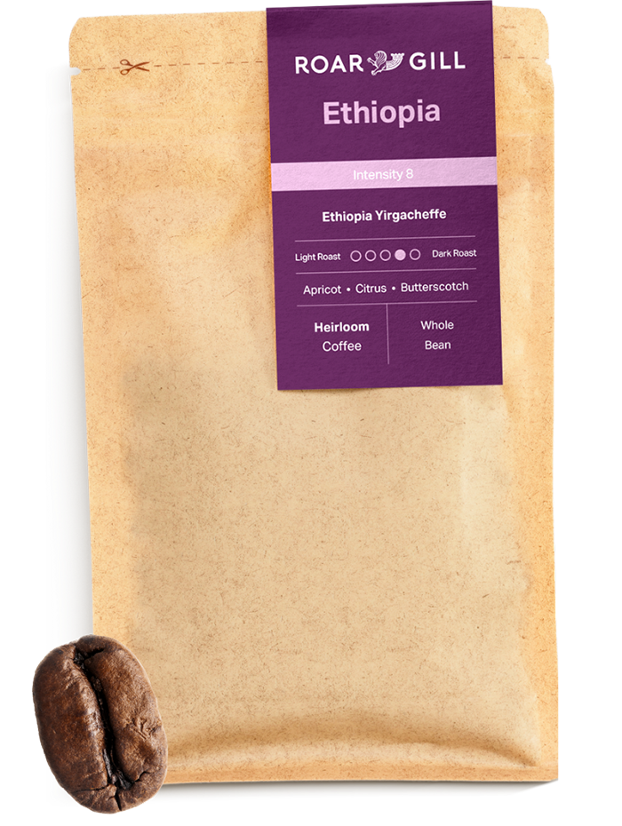Ethiopia by Roar Gill