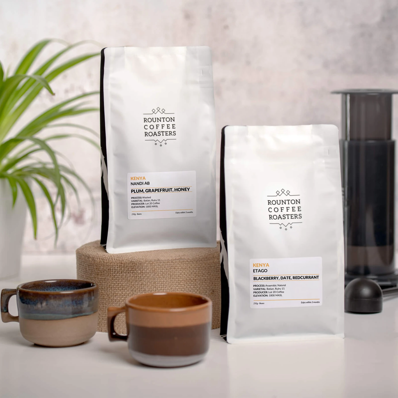 Kenyan Coffee Duo — Kenya by Rounton Coffee
