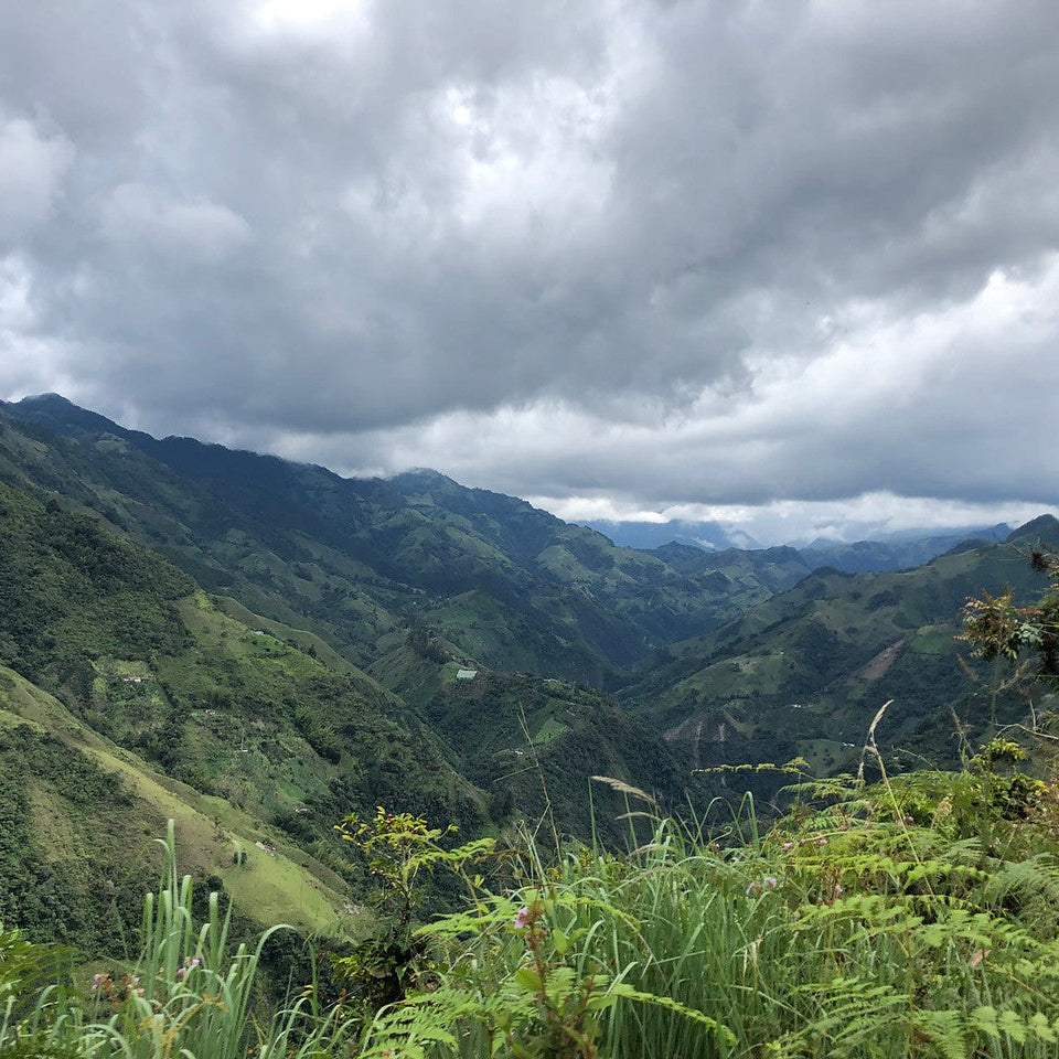 Colombia, Hilario Castrillon: NEW by Sacred Grounds…