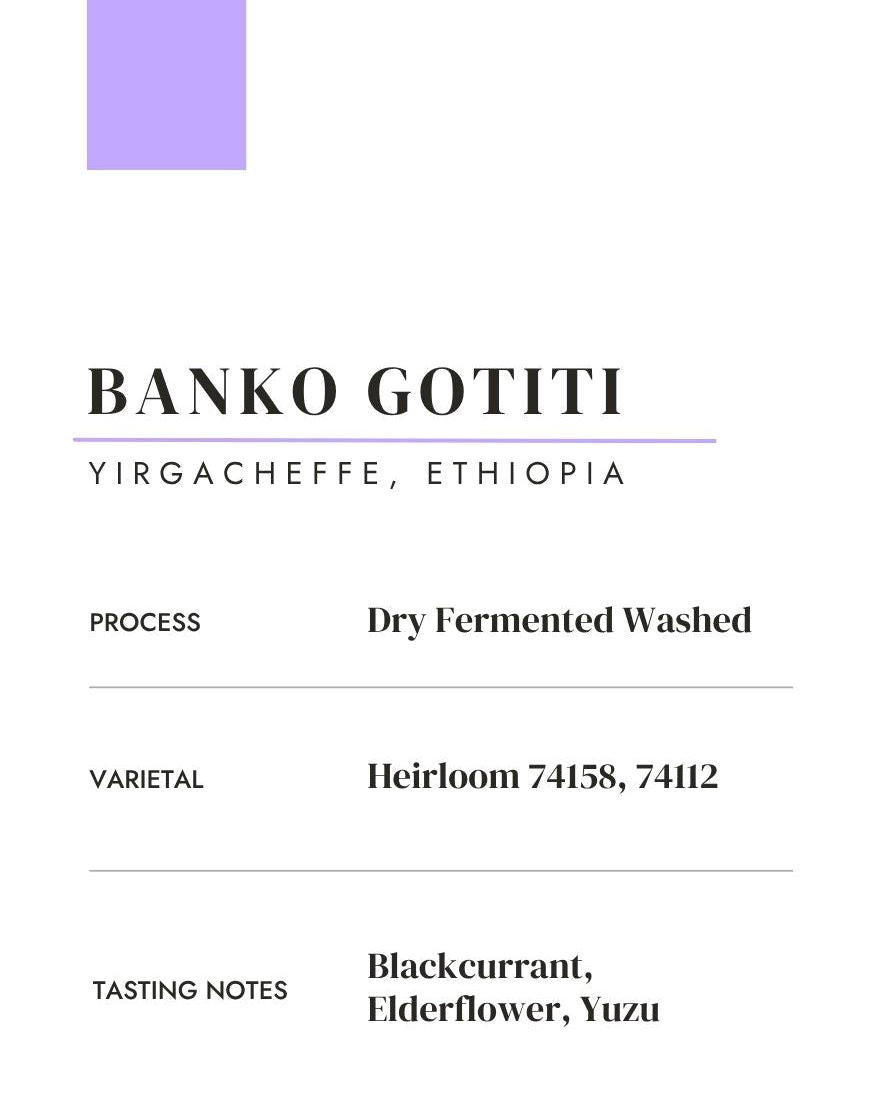 Banko Gotiti: Ethiopia • Washed • Heirloom