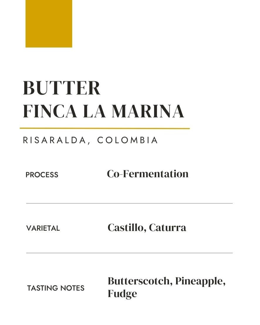 Butter: Finca La Marina • Co-Fermentation — Colombia by Saints of Mokha