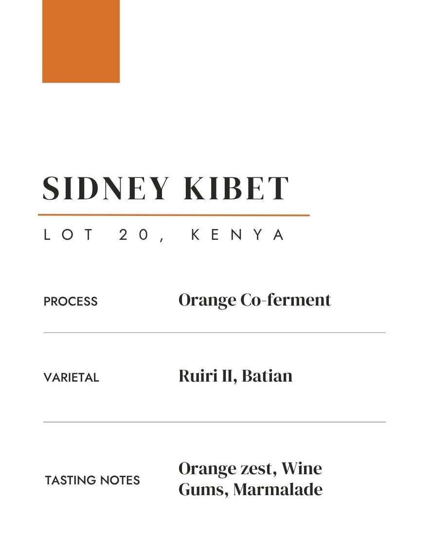 Sidney Kibet: Kenya • Lot 20 • Orange Co-Ferment