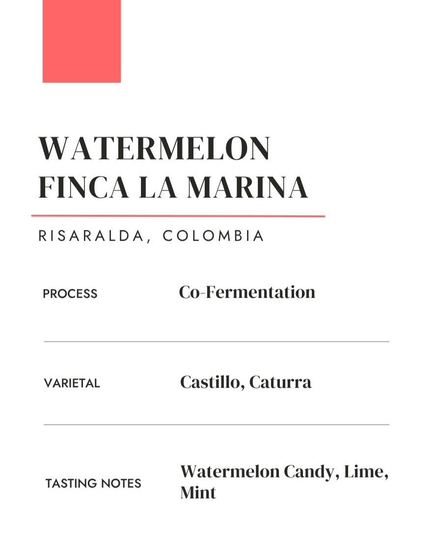 Watermelon: Finca La Marina • Co-Fermentation — Colombia by Saints of Mokha