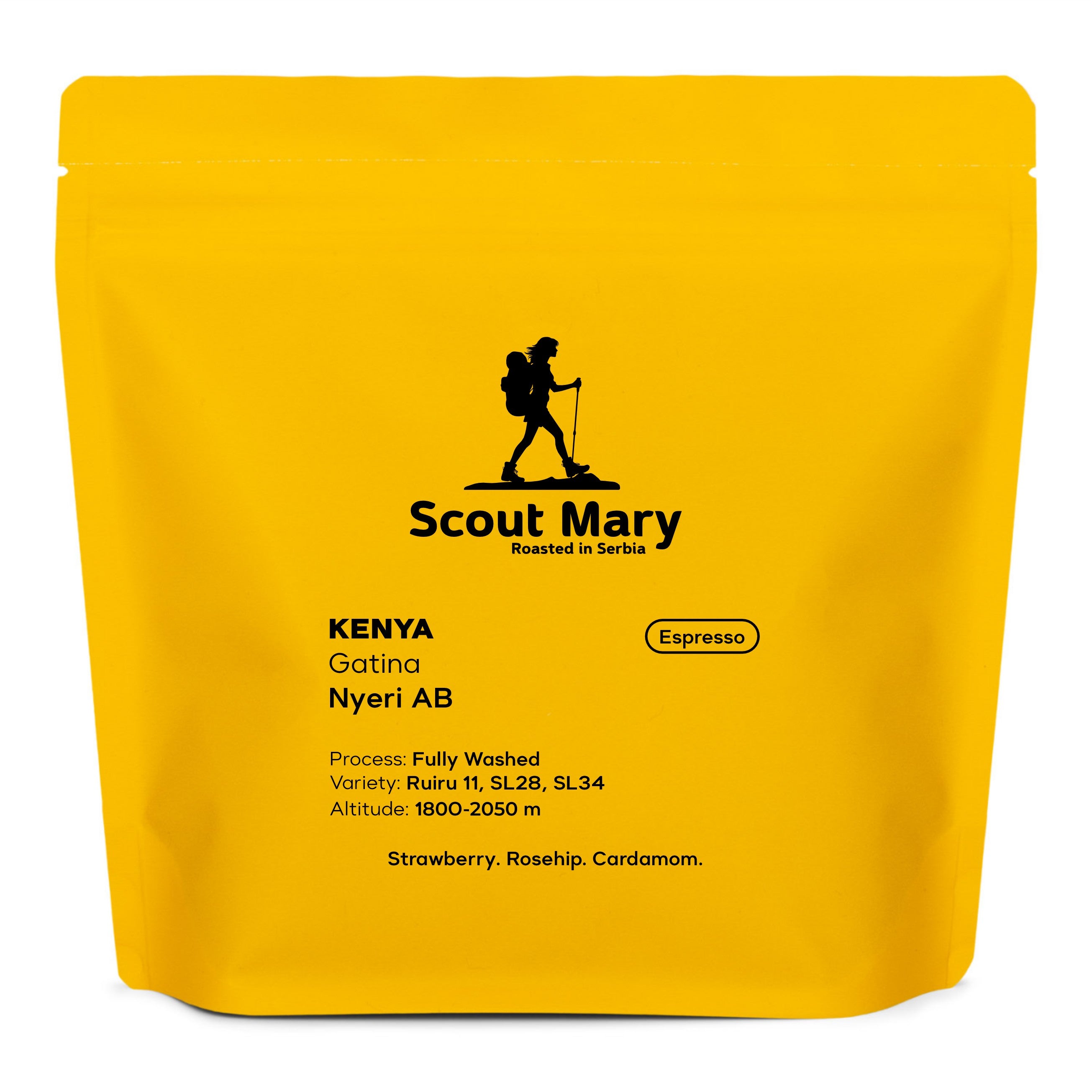 Kenya Gatina Nyeri AB for espresso — Kenya by Scout Mary Roasters